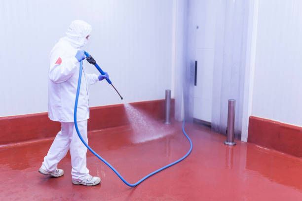 Best Heavy Equipment Washing  in Lecanto, FL