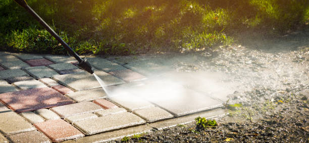 Best Spring Cleaning  in Lecanto, FL
